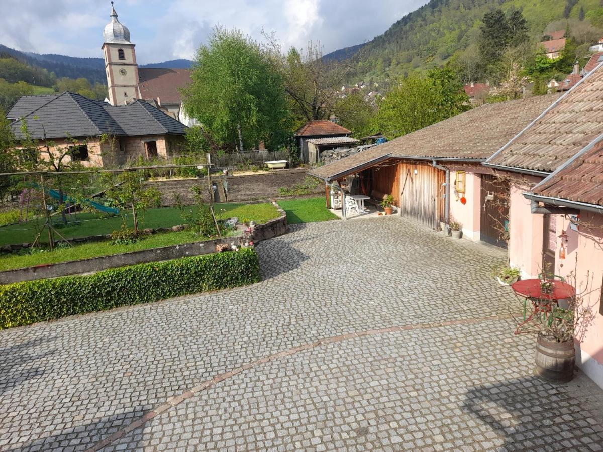 Charmant Petit Appartement Avec Bel Exterieur. Saint-Amarin Kültér fotó