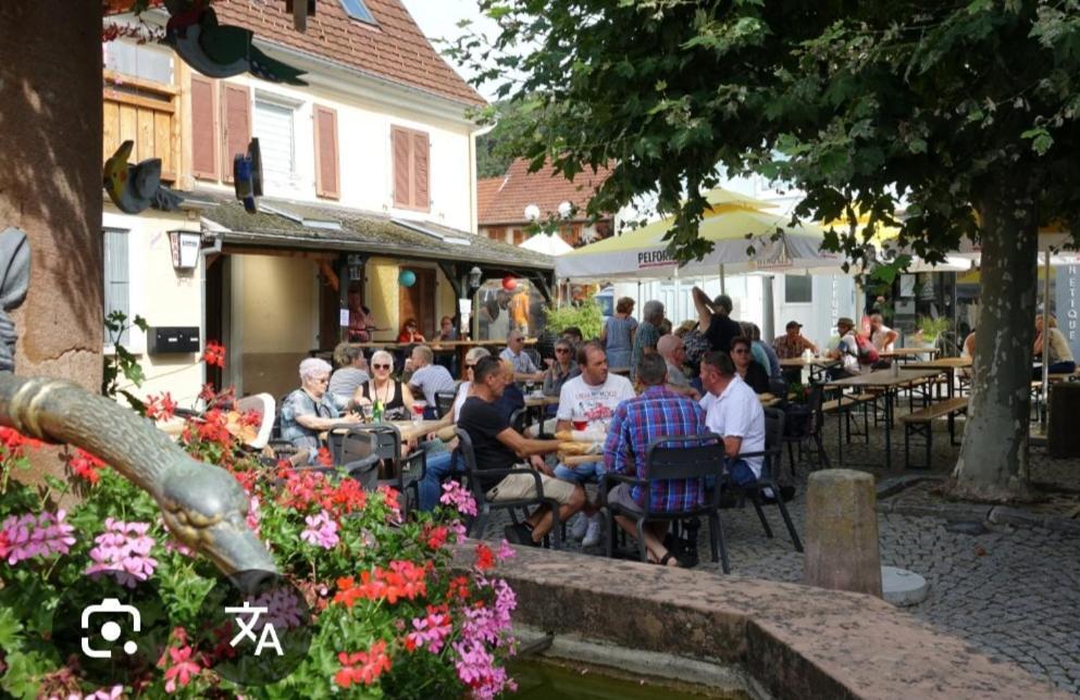 Charmant Petit Appartement Avec Bel Exterieur. Saint-Amarin Szoba fotó